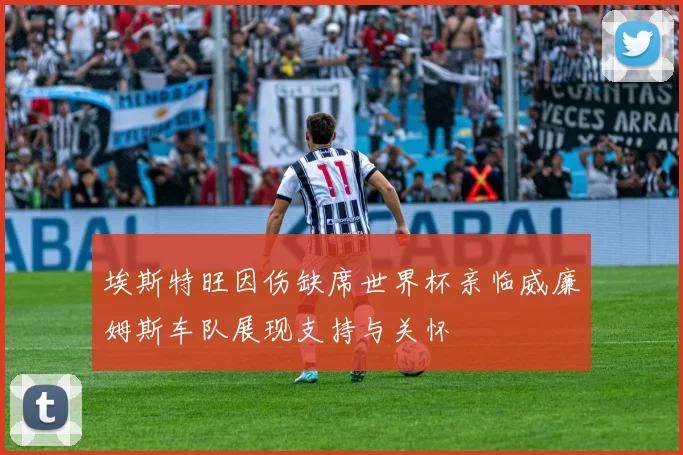 埃斯特旺因伤缺席世界杯亲临威廉姆斯车队展现支持与关怀