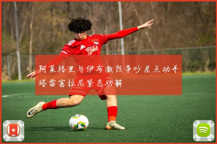 阿莱格里与伊布激烈争吵差点动手塔雷富拉尼紧急劝解